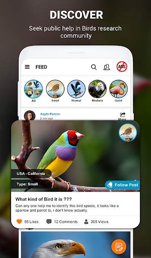 Birds Identifier App by Photo, Bird ID Camera 2020 screenshot 4