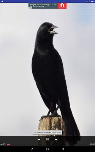 Black Bird screenshot 5