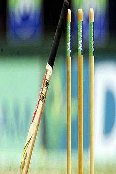Cricket screenshot 2