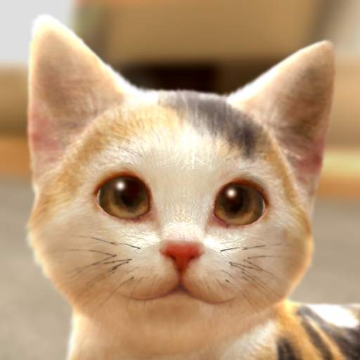 with My CAT 1.0.0