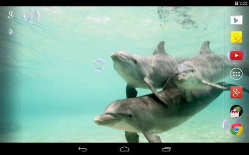 Dolphins Live Wallpaper screenshot 5