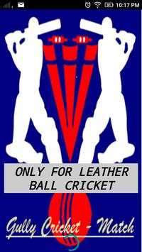 Gully Cricket screenshot 1