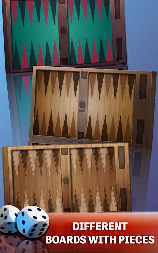 Backgammon-Offline Board Games screenshot 16