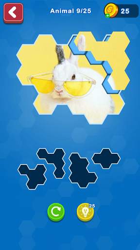 Hexa Puzzle Jigsaw: Anime Collection screenshot 3