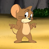 Tom and Jerry icon
