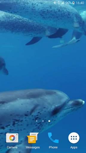 Dolphins Live Wallpaper screenshot 5
