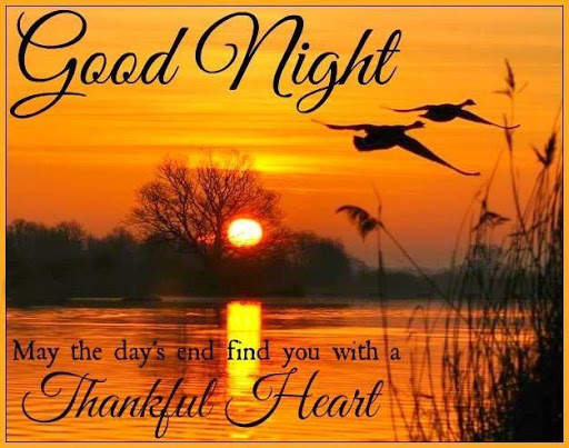 Good Night Images Pro 4 تصوير الشاشة