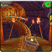 New Temple Run 2 Tips 1.0
