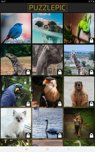 Puzzle Pic - Animal Edition screenshot 7