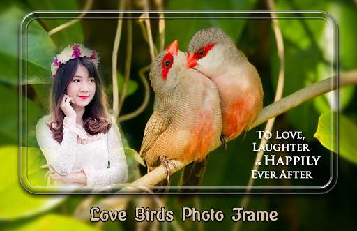 Love Birds Photo Frames скриншот 4