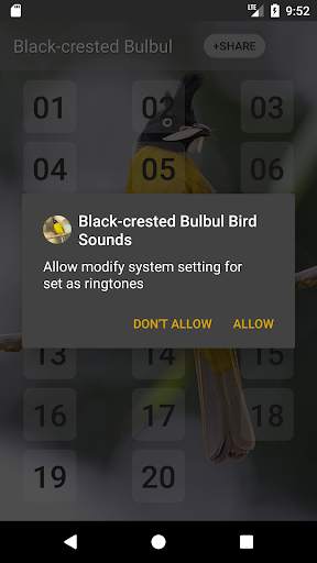 Black-crested bulbul bird sounds स्क्रीनशॉट 3