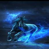 Blue Horse Live Wallpaper 2