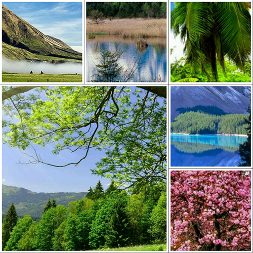 Collage Maker icon