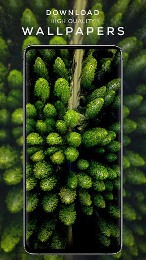 Wapper - HD Wallpapers screenshot 1
