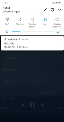 Mok Saib - اغاني موك صايب بدون انترنت screenshot 4