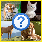4 pictures 1 word icon
