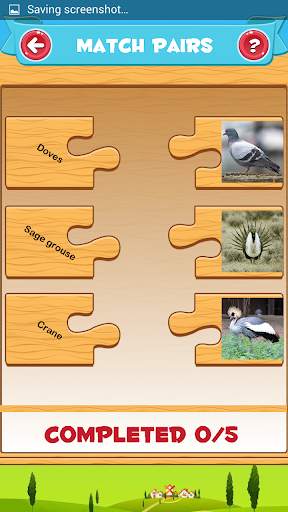 Learn the Birds screenshot 4