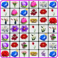 Onet Flowers icon