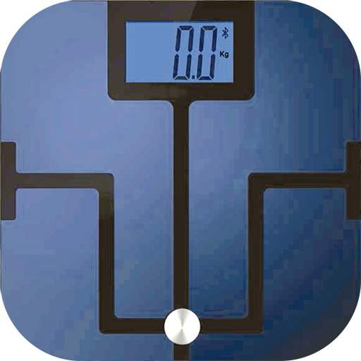 BalanzApp 1.1