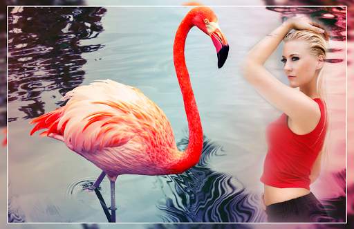 Flamingo Photo Editor - flamingo photo frames screenshot 2