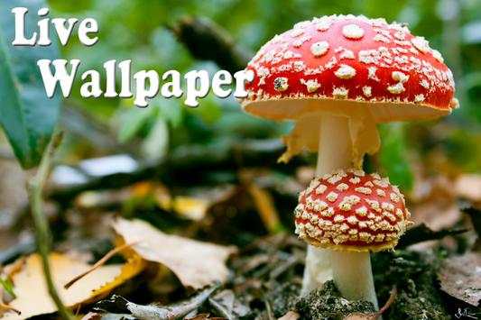 Mushroom Live Wallpaper screenshot 5