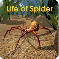 Life of Spider on 9Apps