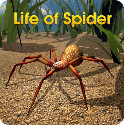 Life of Spider 1.2