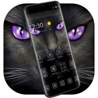 Black Evil Cat Dark Theme on 9Apps