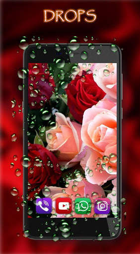 Valentine Roses screenshot 3