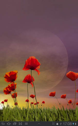 Poppy Field Free screenshot 7