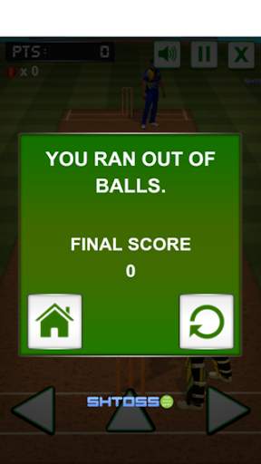 Cricket challenge Game 2020 screenshot 4