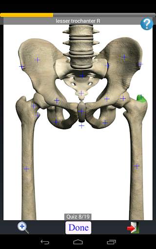 Anatomy Quiz screenshot 15