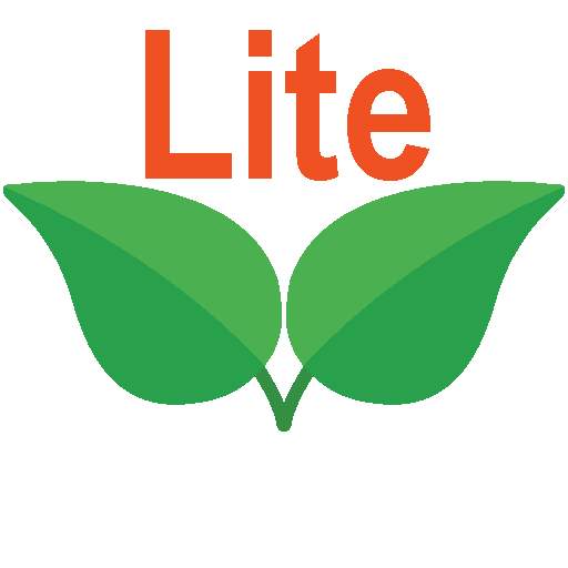 Mirror Lite 14