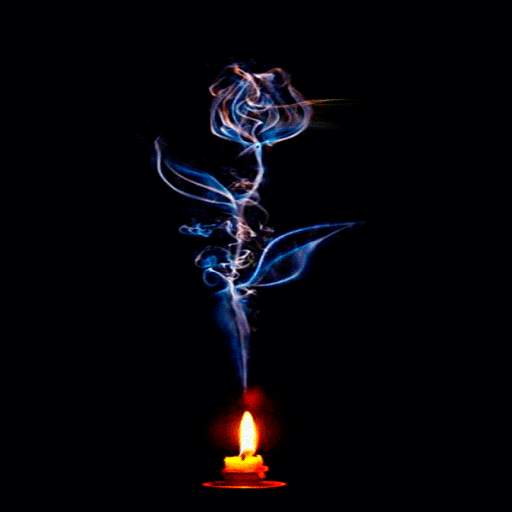 Candle Flower Live Wallpaper 3