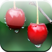 Raindrops On Fruits Wallpaper icon