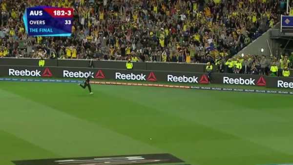 Cricket Live Line screenshot 2