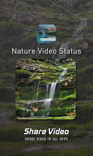 Nature Video Status screenshot 7