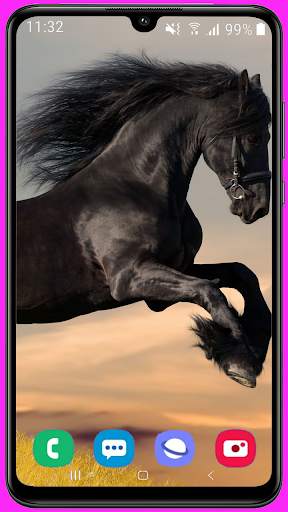 Horse Wallpaper Best HD screenshot 12