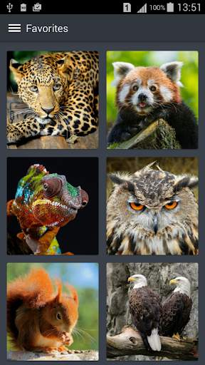 Animal Wallpapers screenshot 2