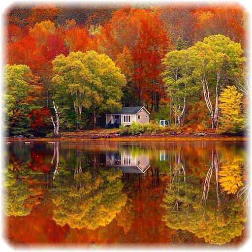 Free Jigsaw Puzzles For kids And Adults 2.0