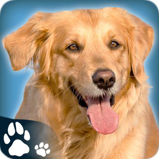 PetDog Game 1.04