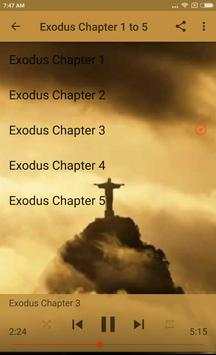 KING JAMES BIBLE: EXODUS - AUDIO screenshot 2