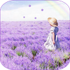 Lavender Live Wallpaper icon