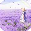 Lavender Live Wallpaper on 9Apps