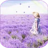 Lavender Live Wallpaper