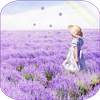Lavender Live Wallpaper 1.4