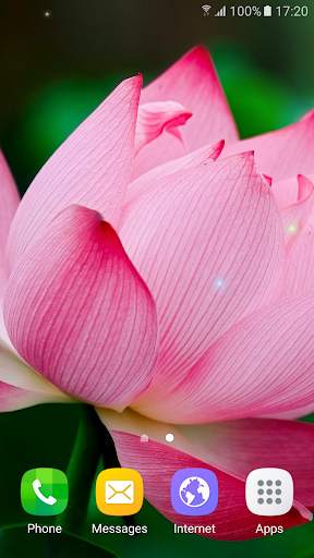 Tropical Flower Live Wallpaper screenshot 1