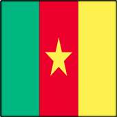 TV Cameroon Info Channel logo