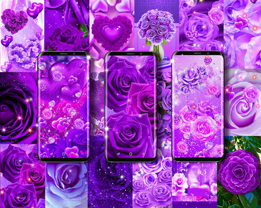 Purple rose live wallpaper screenshot 1