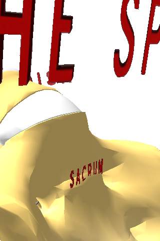 Spine 3D screenshot 3